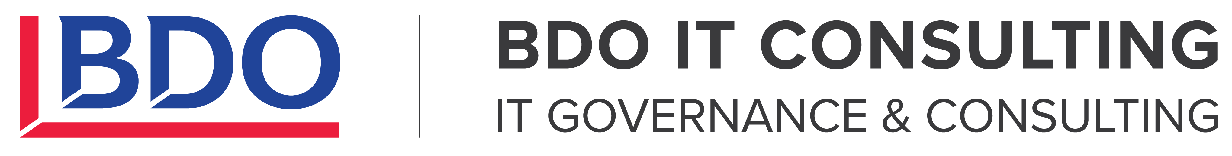 BDO IT Consulting